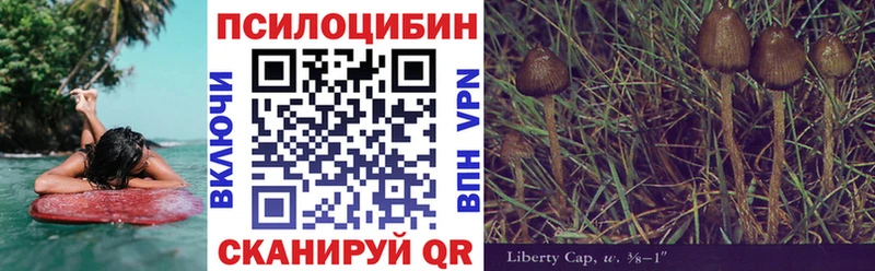 Галлюциногенные грибы мицелий  Купить  Киселёвск 